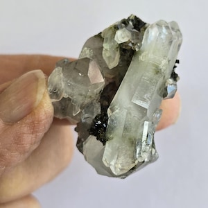 May include: A cluster of clear quartz crystals with a pale green hue and dark inclusions. The crystals are held in a hand against a white background. The quartz has a natural, raw appearance.