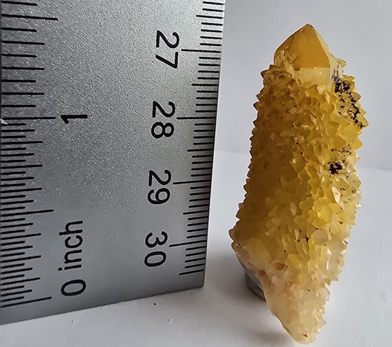 スピリットカクタス ゴールデンヒーラークォーツクリスタル