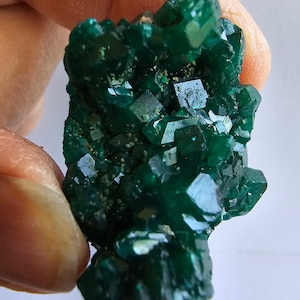 Dioptase from DR Congo- Metaphysical and Mineral Specimen #3202