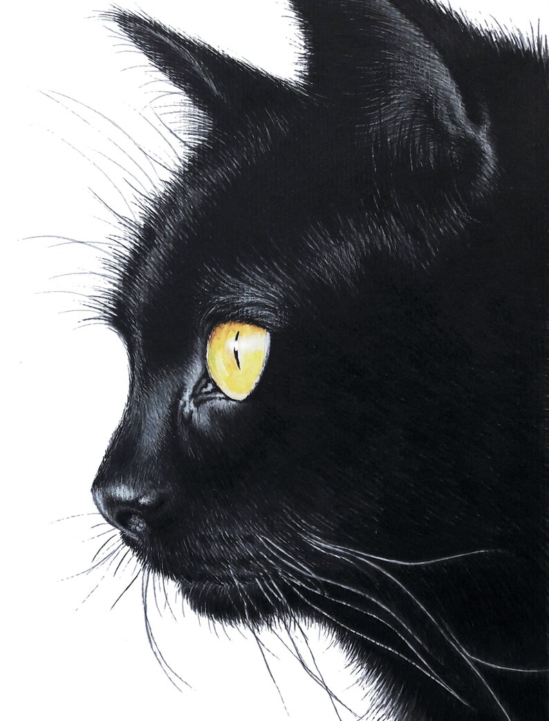 Аватар черный кот. Чёрный кот. Чёрный кот арт. Черный кот в профиль. Грациозная черная кошка.