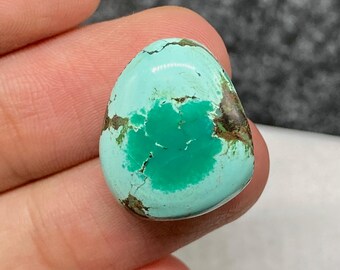 Può includere: Una gemma turchese lucidata, di forma ovale, con una vibrante tonalità verde acqua. La pietra presenta un motivo verde più scuro al centro e venature marroni della matrice, creando un design naturale unico. La gemma è tenuta in una mano.