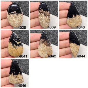 Palm root agate cabochon, Indonesian agate cabochon, please choose from above...