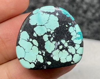 Può includere: Una pietra lucida e arrotondata con un motivo sorprendente. La pietra presenta una base nera con macchie irregolari di turchese chiaro. Le sezioni turchesi hanno un aspetto screpolato a forma di ragnatela, creando una trama unica e interesse visivo. La pietra è tenuta in una mano.