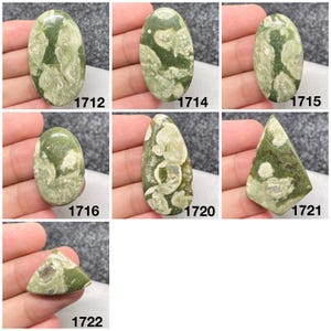 Rhyolite Jasper Cabochon: Rain Forest Stone