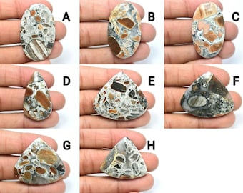 May include: Assortment of eight natural stone cabochons in various shapes and sizes. The stones feature a mix of white, brown, and gray colors with a speckled pattern.