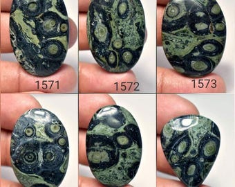May include: Six polished gemstones with a dark green and black pattern. The stones are oval and teardrop shaped, with a unique, swirling design. Each stone has a different pattern. The numbers 1571, 1572, 1573, 1574, 1575, and 1578 are printed on the stones.
