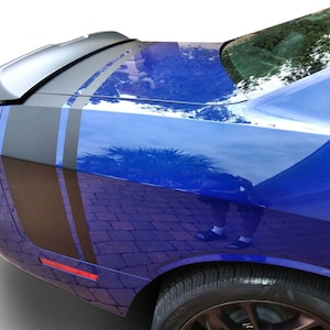 Passar Dodge Challenger Side Wing Bird Graphics Auto 3 M Vinylränder och dekaler 2011-2023
