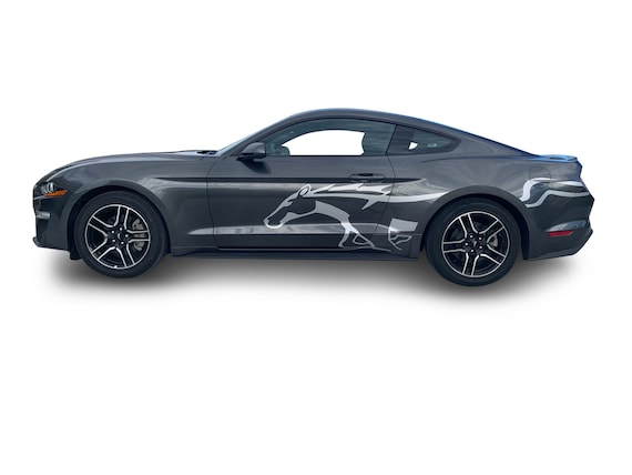 Se adapta a Ford Mustang Side Freedom Graphics Vinilo Auto Stripes 3M mustang side stripes Se adapta a Ford Mustang Side Freedom Graphics Vinilo Auto Stripes 3M