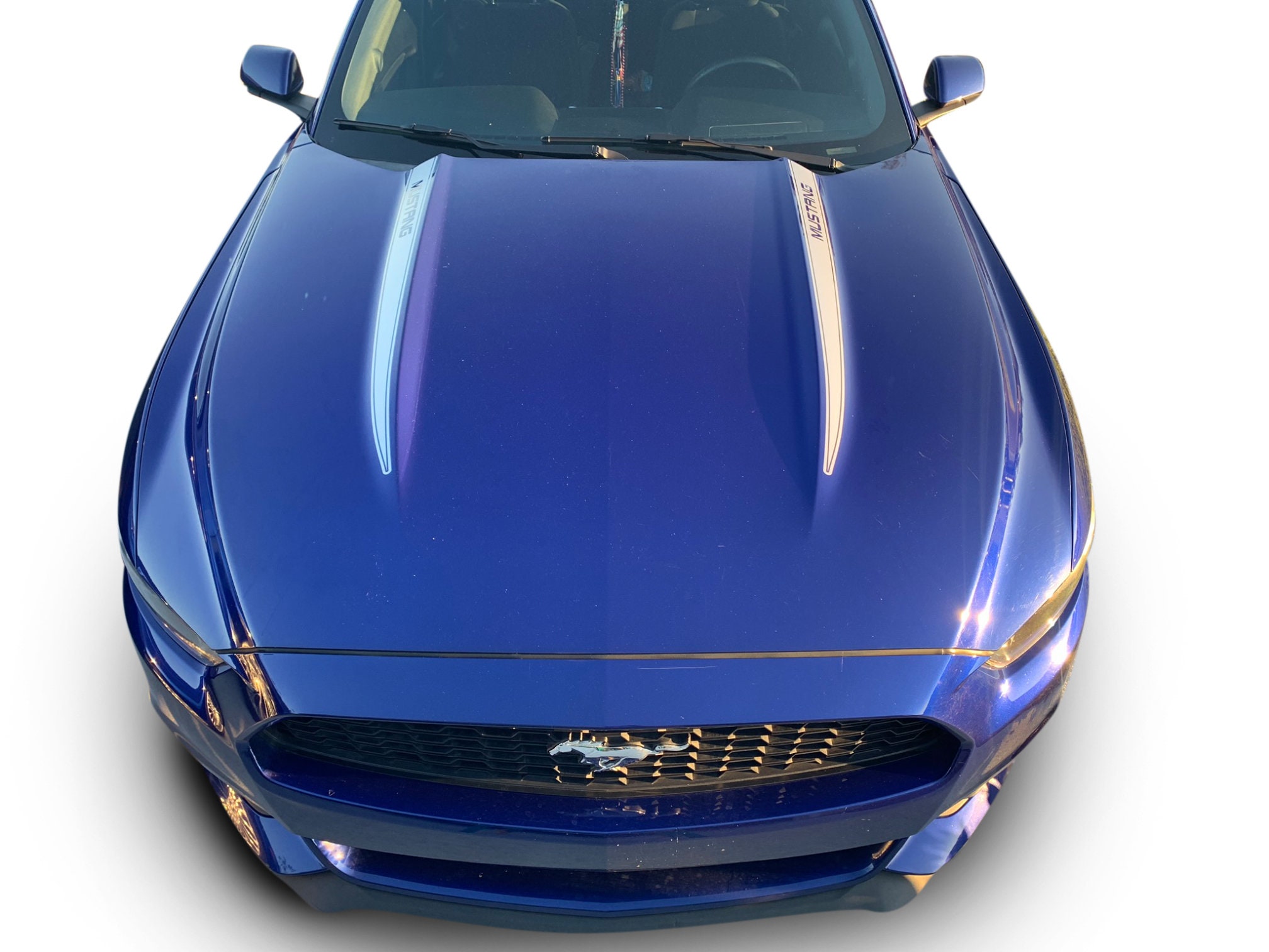 Capot Gt500 Stil pour Ford Mustang 2015-2017 / Sans Accessoires