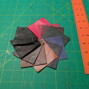 Goatskin Leather Sample