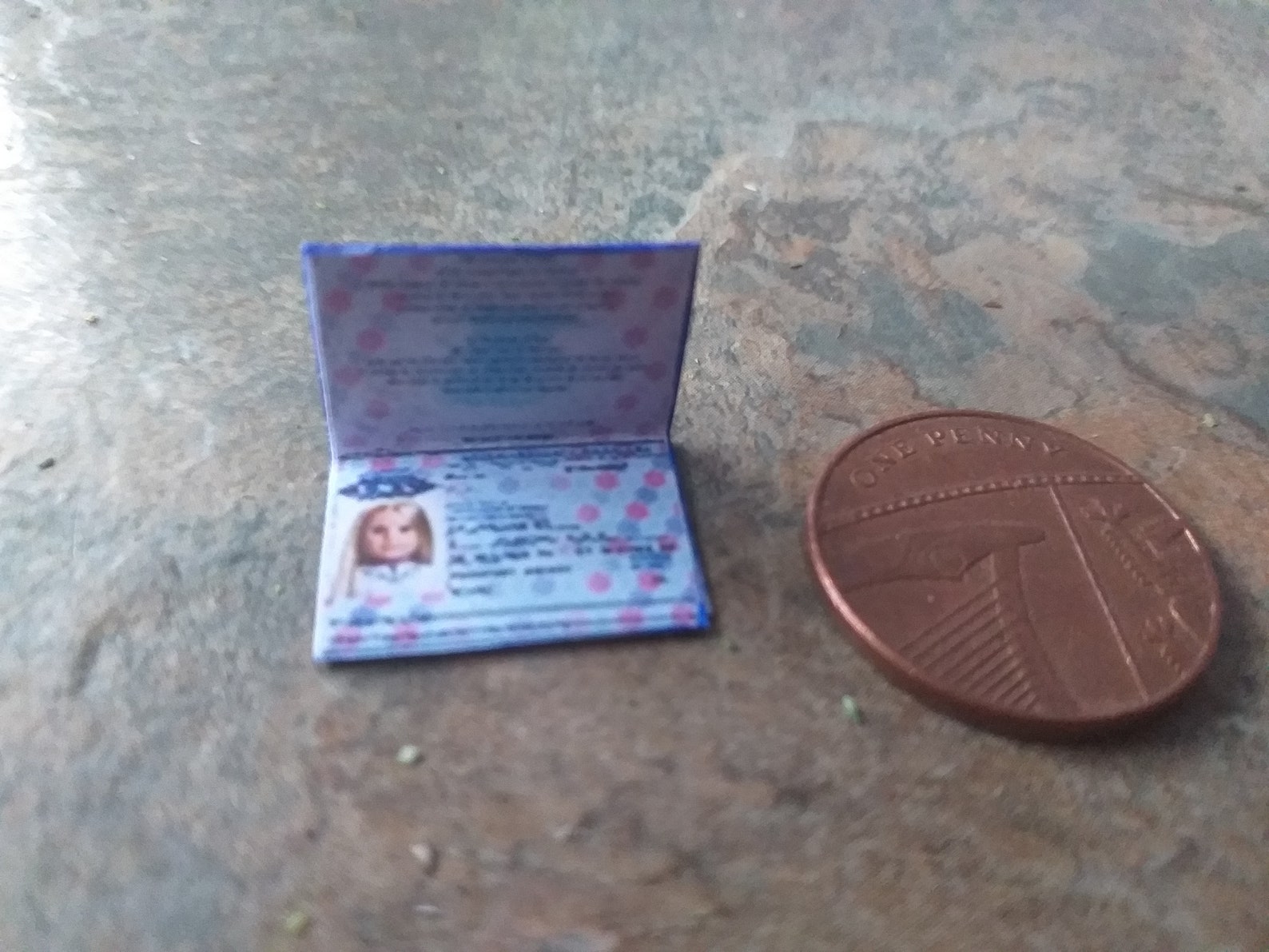 Dolls Passport Dolls house Passport Miniature Passport | Etsy
