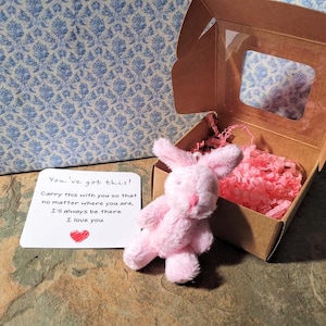 Mini Komfort Häschen in Geschenkbox - Pocket Hug Kaninchen mit Nachrichtenkarte, Ermutigungsgeschenk, Unterstützung für psychische Gesundheit, du hast dieses Häschen
