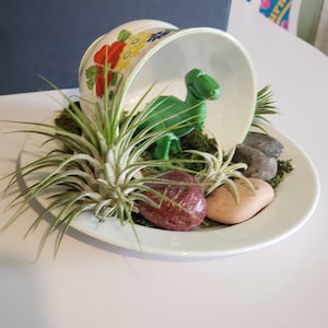 May include: A white ceramic teacup with floral designs is turned upside down on a white plate. A green dinosaur figurine is inside the cup. The plate is decorated with green moss, small stones, and air plants.