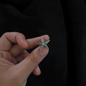 Op de afbeelding: Een zilverkleurige ster-vormige oorbel met ingewikkelde gegraveerde details. De vijf-puntige ster heeft een gedetailleerd patroon op elke punt en in het midden. De oorbel wordt tegen een donkere achtergrond gehouden.