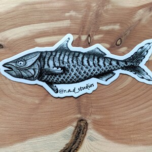 Salmon Sticker