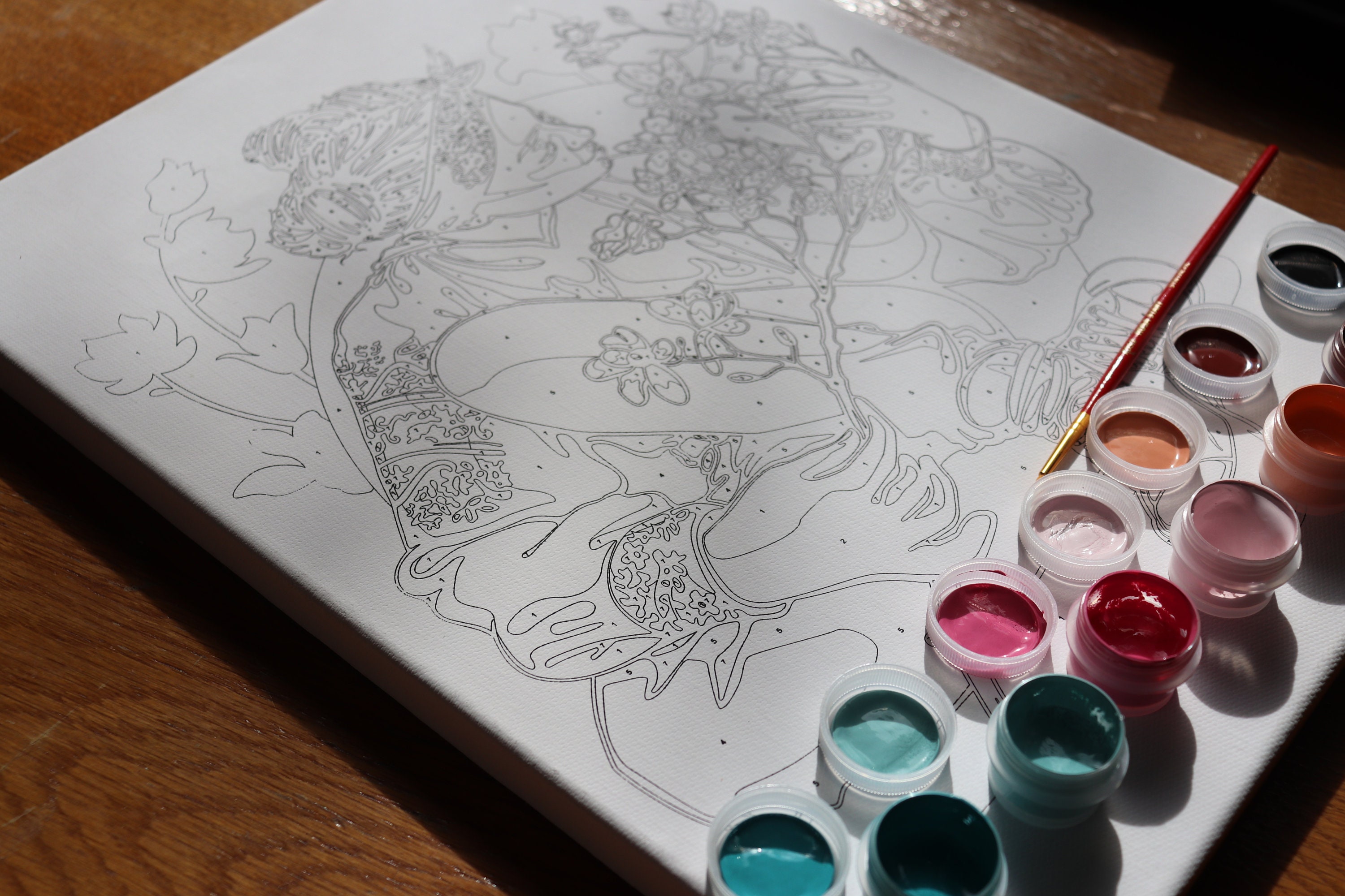 Paint by Number Kit Girl With Magnolias Painting by Numbers Etsy