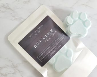 2 or 6 Shower Steamer, Eucalyptus Shower Steamer, Dog lovers gift, Christmas gift, Stocking stuffer, 2 oz each
