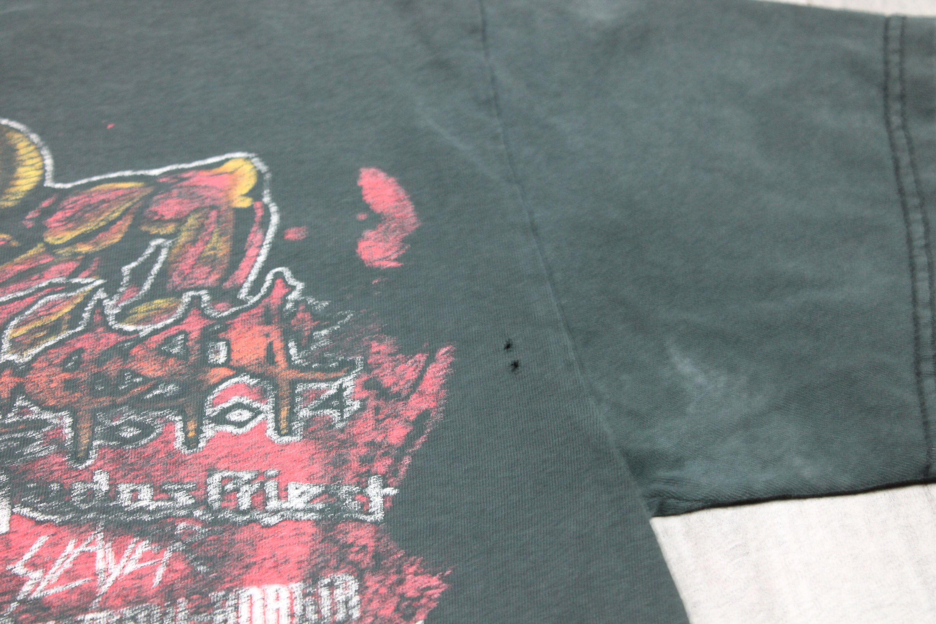 taylor swift fearless tour t shirt