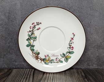 Villeroy & Boch Saucer "Botanica" Pattern, Made in Luxembourg