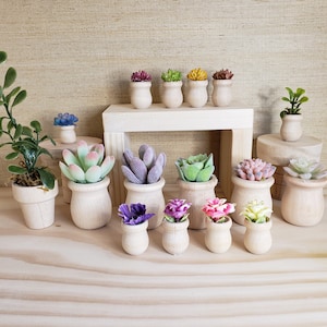 Miniature Planter | Plants for Fashion Dolls Dream House | Mini | Succulents | Dollhouse Decor | Doll House Accessory | 1/6 or 1/12 scale