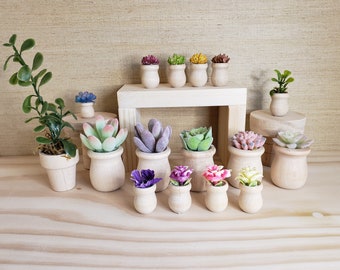 Miniature Planter | Plants for Fashion Dolls Dream House | Mini | Succulents | Dollhouse Decor | Doll House Accessory | 1/6 or 1/12 scale