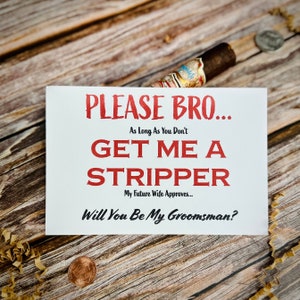 Funny Groomsmen Information Card, groomsmen proposal card, Printable, inappropriate card , cardstock, bachelor party