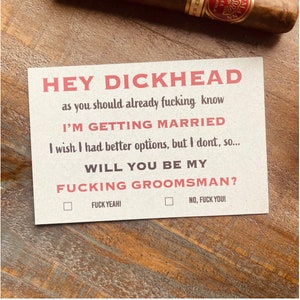 Funny Groomsmen Information Card, groomsmen proposal card, Printable, inappropriate card , cardstock. image 1