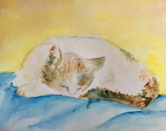 Gato dormido