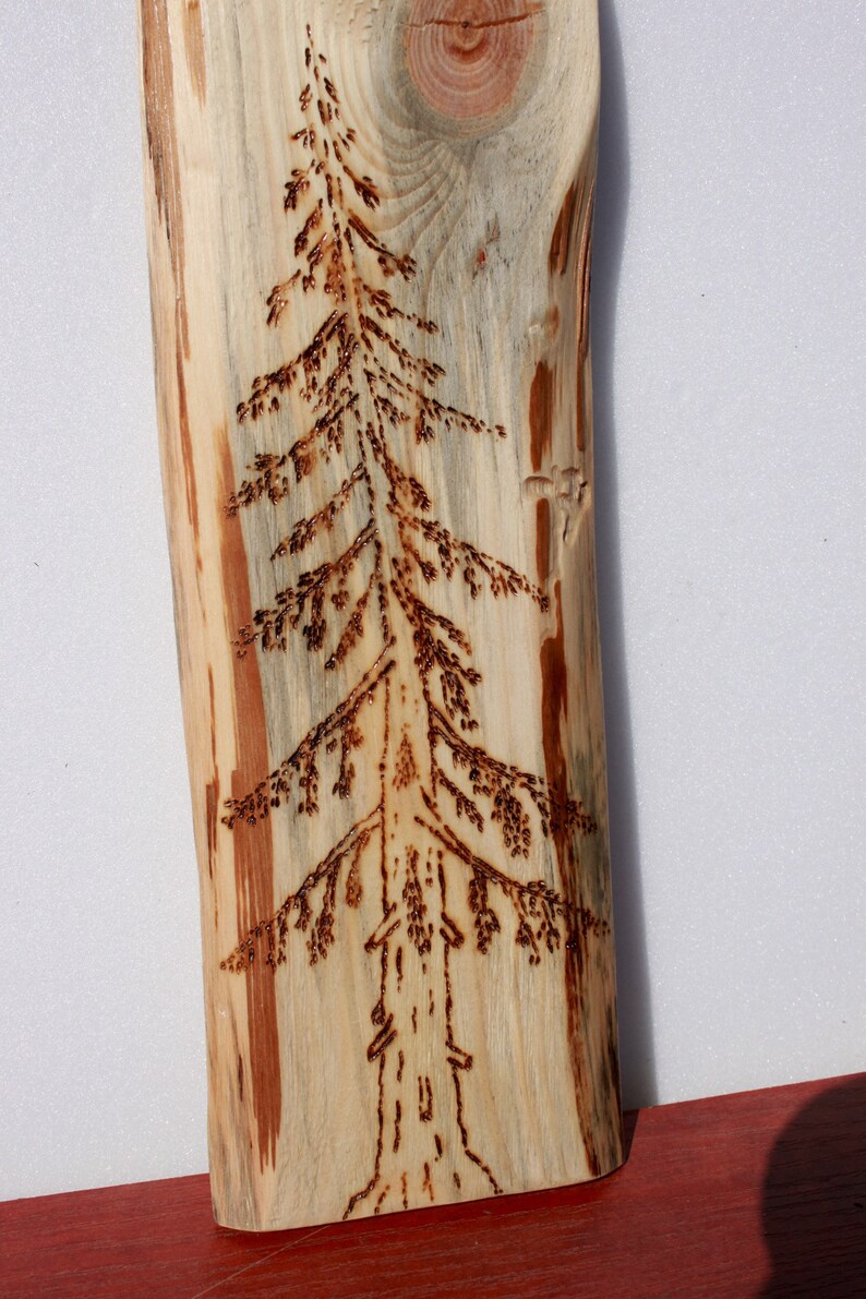 Wood burning art tree wood burn Pyrography Wood burning art Etsy