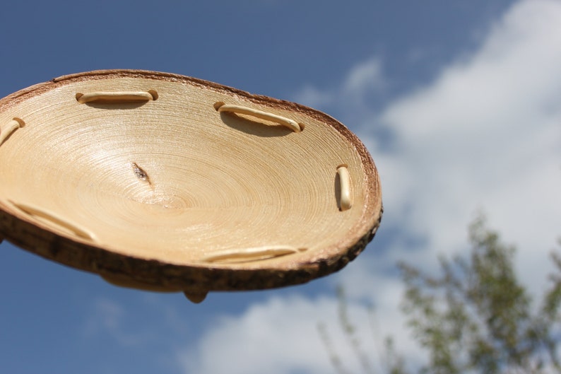Wooden Bowl slices of birch Platter Bowl slice Natural bark Home Decor Hand made wooden Eco Friendly Decor Small Bowls Wood slice