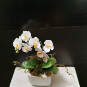 Miniature Orchid, Fanelopis with white flowers miniature, Dollhouse flowers miniature 1 12 scale, flower gift, Decor for dollhouse image 3