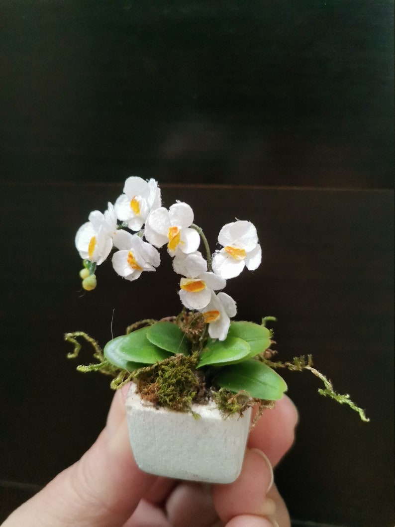 Miniature Orchid, Fanelopis with white flowers miniature, Dollhouse flowers miniature 1 12 scale, flower gift, Decor for dollhouse image 1