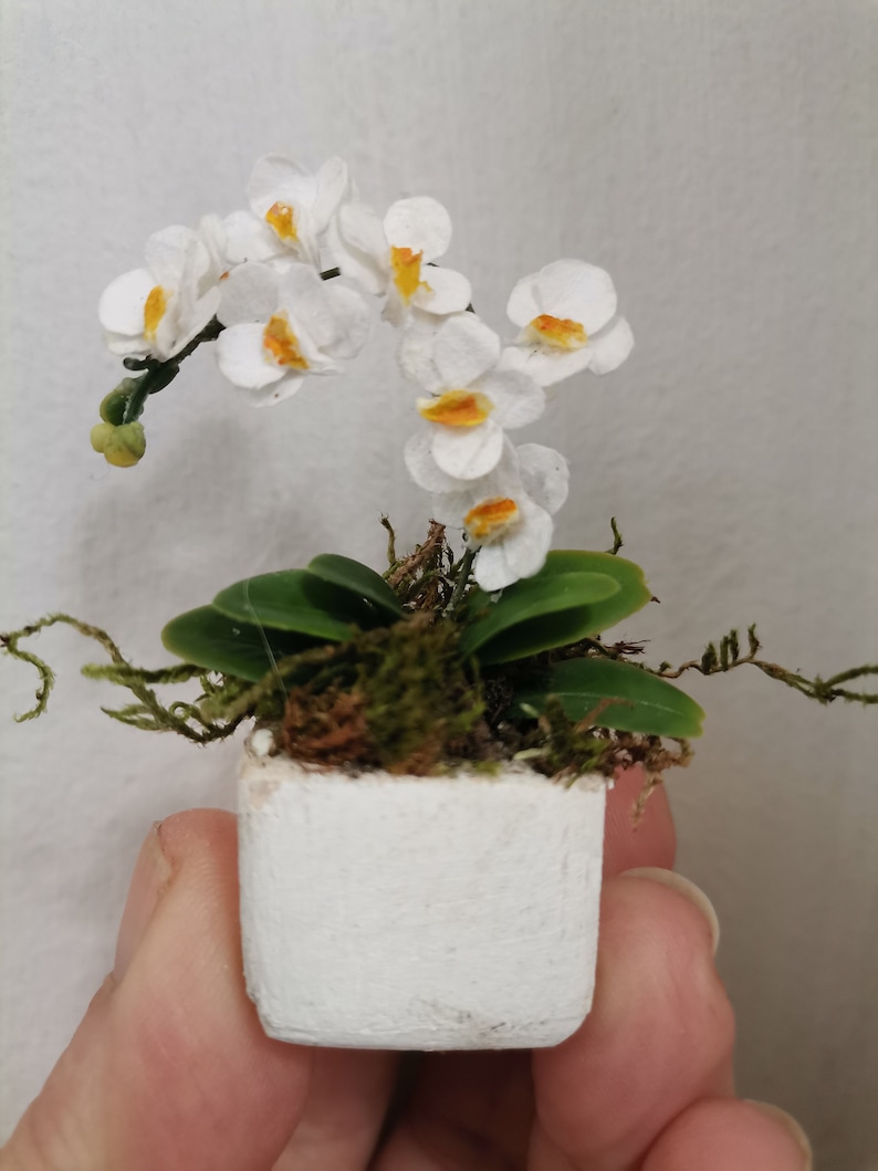 Miniature Orchid, Fanelopis with white flowers miniature, Dollhouse flowers miniature 1 12 scale, flower gift, Decor for dollhouse image 2