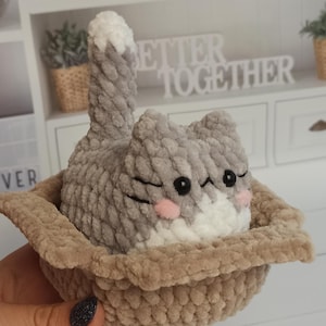 Customizable cat, custom name cat, Cute plush cat in a box