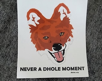 Never A Dhole Moment