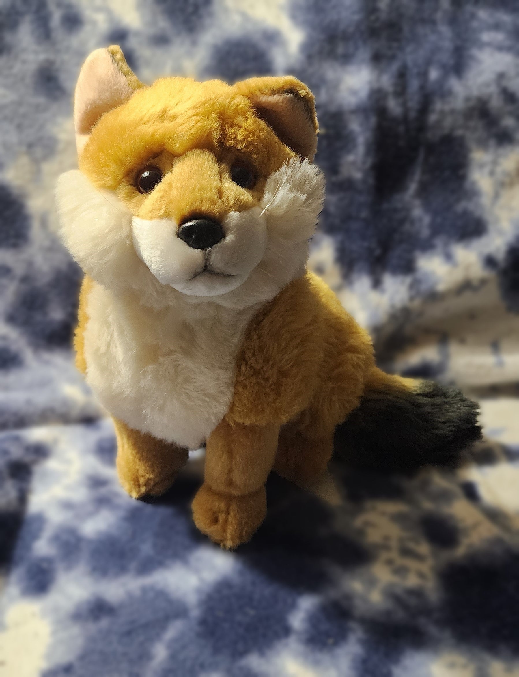 Symbolic Dhole Adoption Kit: Plush Toy, Fact Sheet, Certificate - Etsy