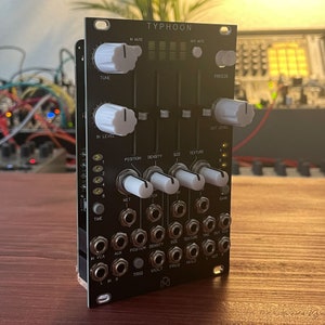 Typhoon /// Mutable Instruments Eurorack Module /// Clouds Clone /// Black Panel
