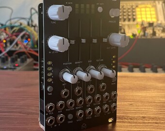 Typhoon /// Mutable Instruments Eurorack Module /// Clouds Clone /// Black Panel