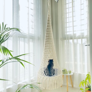 May include: A cream-colored macrame hanging chair with a gray cushion, suspended in front of a bright window. A gray and brown cat sits in the chair, facing away from the camera. The chair is surrounded by plants and a small side table.