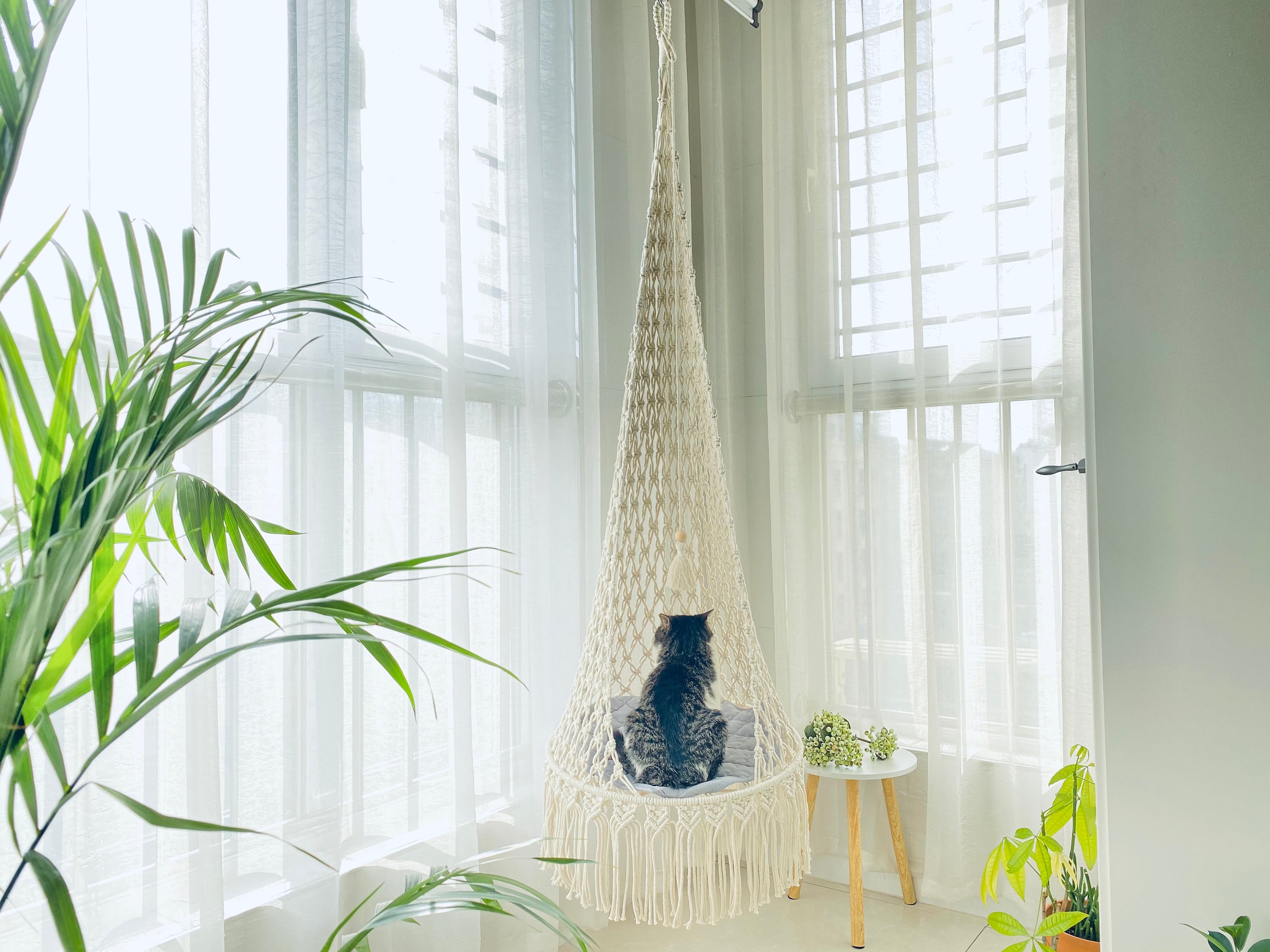 Long Modern Macrame Cat Hanging Bed From Ceiling, Ceiling Shelf, Basket Bed, Hammock, Swing, Furniture