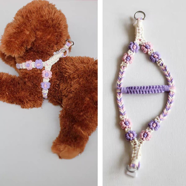 May include: A white, purple, and pink dog harness with flower accents. The harness is made of braided rope and has a metal ring for attaching a leash.