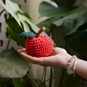 Beginner Level PDF Macrame Pattern for Apple Ornament in English - Macrame PDF Tutorial Step by Step - Diy Macrame Pattern - Christmas Gift