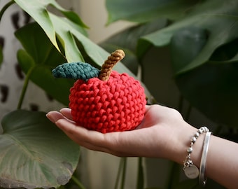 初心者レベルの PDF マクラメ パターン (英語) - マクラメ PDF チュートリアル ステップ バイ ステップ - DIY マクラメ パターン - クリスマス ギフト