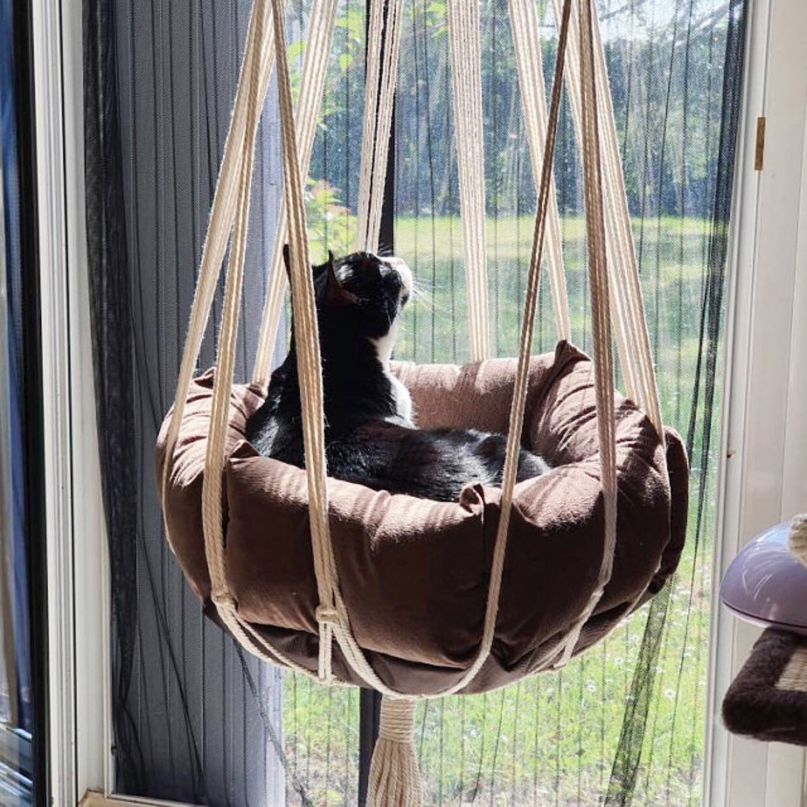 Cat Hammock Macrame / Hanging Cat Swing Bed / Vertical Style Etsy