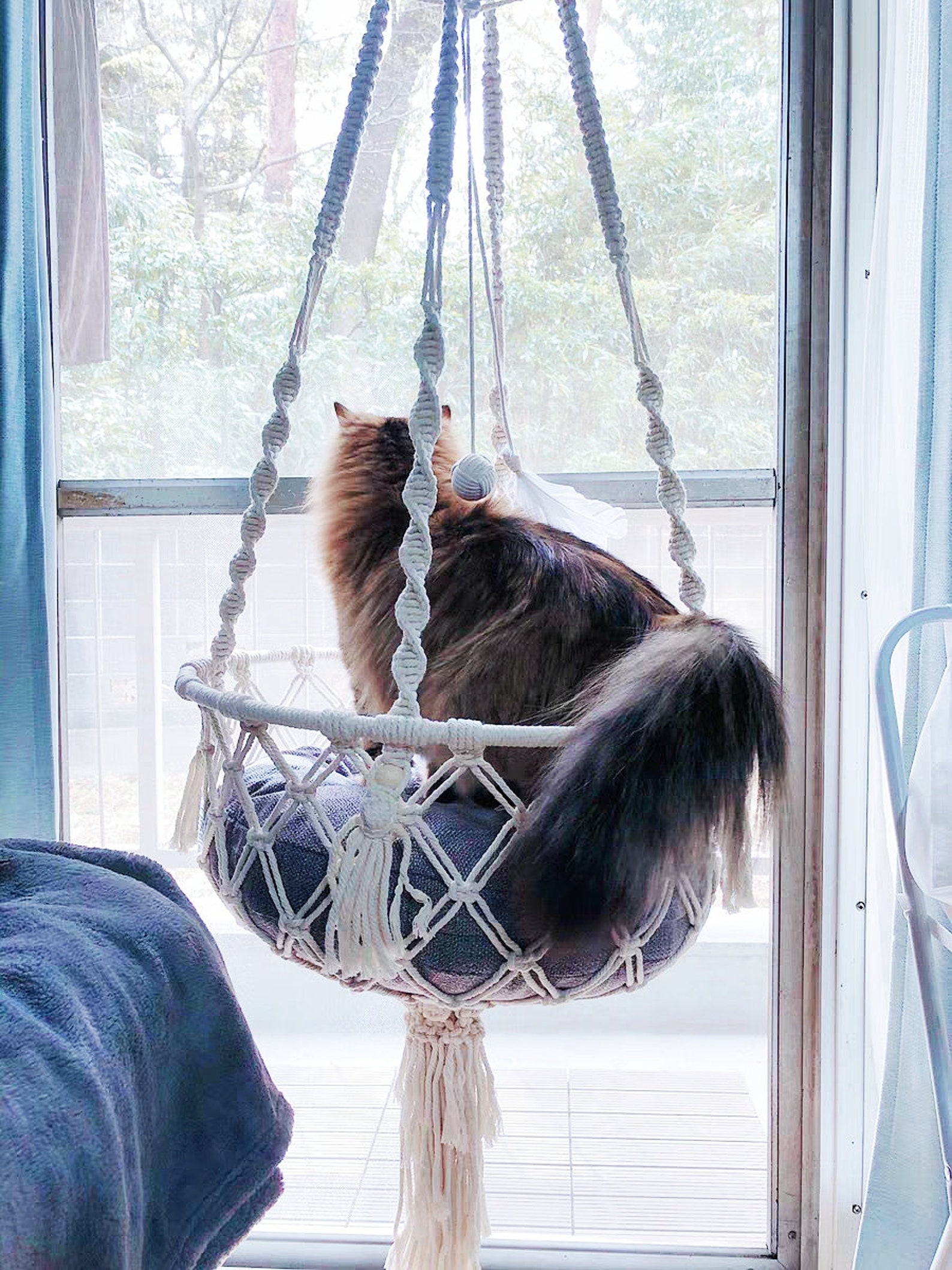 Macrame Cat Bed with Pillow Hanging Cat Bed Pillow Macrame Etsy