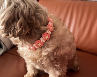 NIVEL PRINCIPIANTE / Tutorial de collar de macramé para perro / Aprende macramé / Collar para perro DIY / Kit de macramé DIY / Patrón en PDF / Versión en inglés