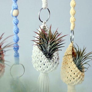 May include: Three macrame plant hangers with air plants. The hangers are made of white and yellow cotton cord and have a tassel at the bottom. The air plants are green and have pink flowers.