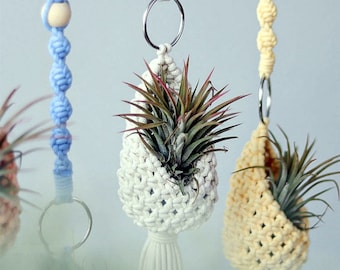 English Version Beginner Step by Step, Macrame Tutorial, Macrame Pattern, Macrame Plant Hanger, Air Plant Hanger, PDF Pattern, Diy Macrame