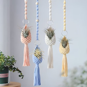 May include: Four macrame plant hangers with different colored tassels. The hangers are made of white cotton cord and feature a pineapple-shaped planter. The planters are filled with air plants and are hanging from the ceiling.