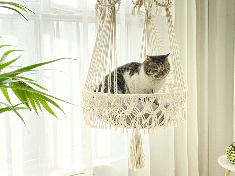 Hamaca para gatos Macrame moderna tejida a mano Cama para gatos Macrame Cama para gatos colgante Cesta para gatos colgante Columpio para gatos Regalo para gatos Regalo para amantes de los gatos imagen 10